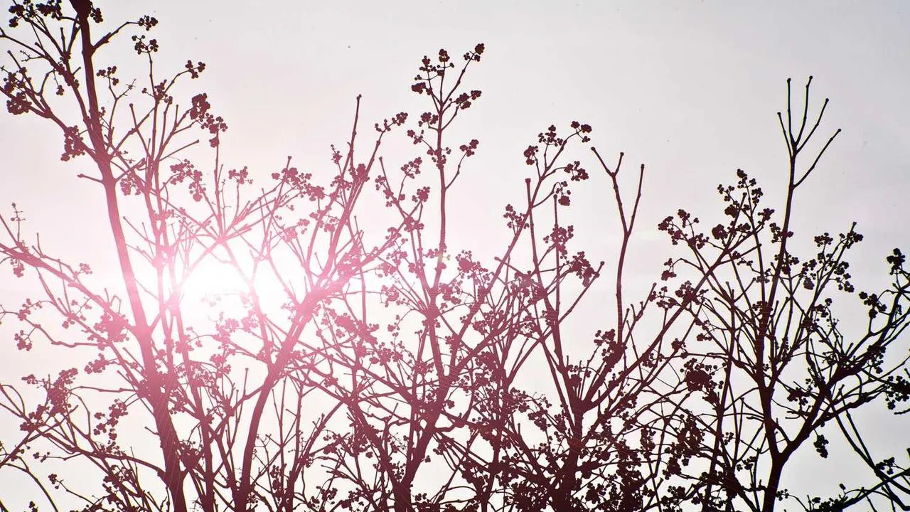 Cumhurbaşkanlığı'ndan Gençlere Yönelik Kapsamlı İstihdam Hamlesi: 5 Milyar TL'lik Proje Hayata Geçti