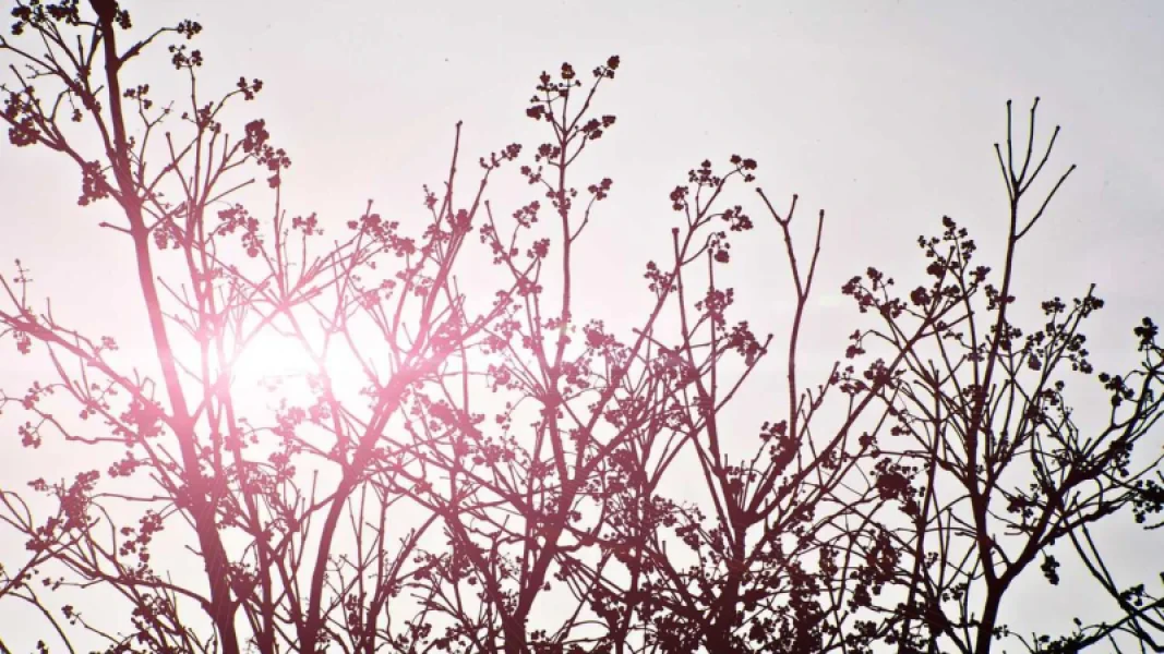 Cumhurbaşkanlığı'ndan Gençlere Yönelik Kapsamlı İstihdam Hamlesi: 5 Milyar TL'lik Proje Hayata Geçti