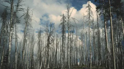 Sağlık Bakanlığı'ndan Stratejik Yerli İlaç Üretimi Hamlesi: Dışa Bağımlılık Azaltılıyor
