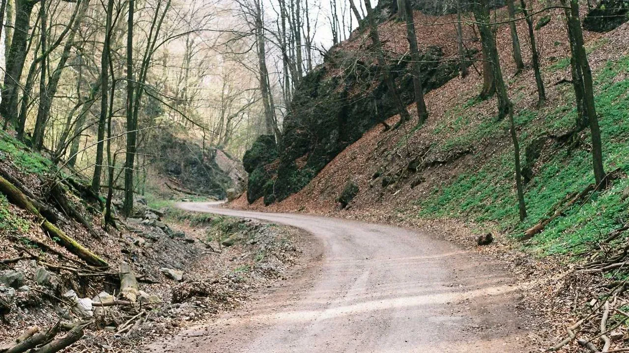Yılın Düğününe Ünlü Akını: Şıklık Yarışı Yaşandı
