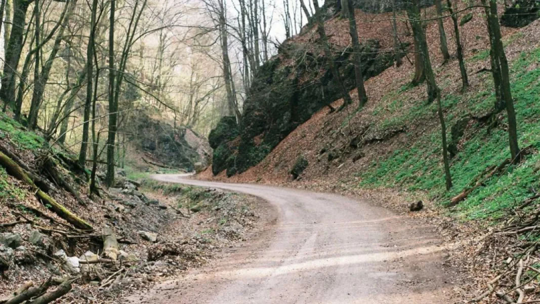Yılın Düğününe Ünlü Akını: Şıklık Yarışı Yaşandı